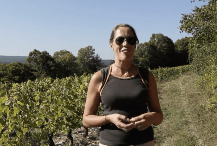 The extraordinary vineyards of Bertrand Machard de Gramont.