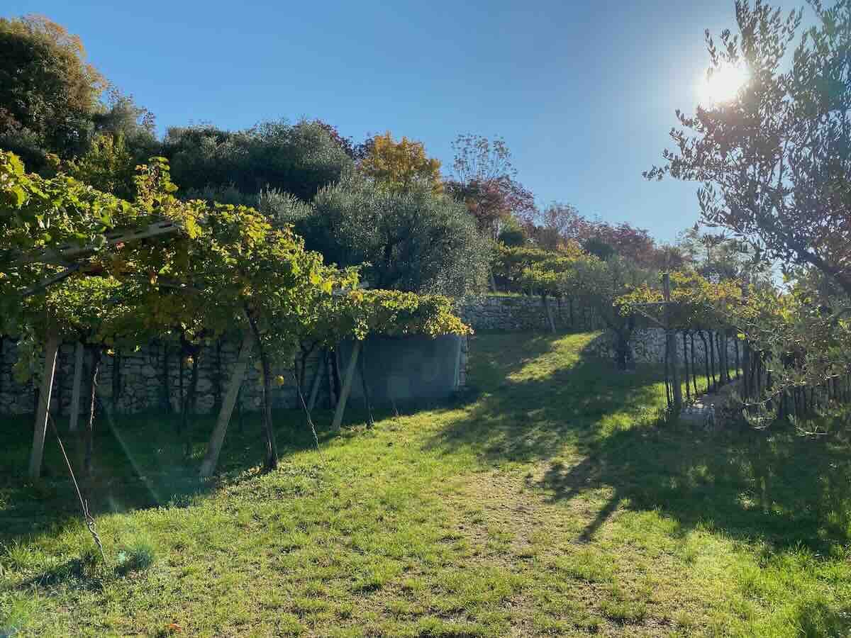 Biodiversity Corte Bravi Valpolicella